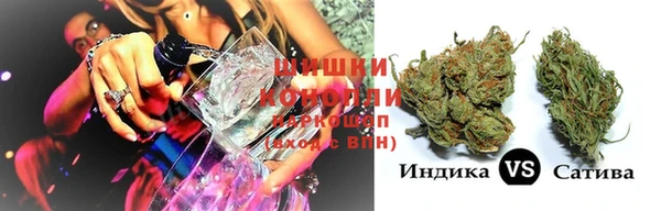 шишки Богданович