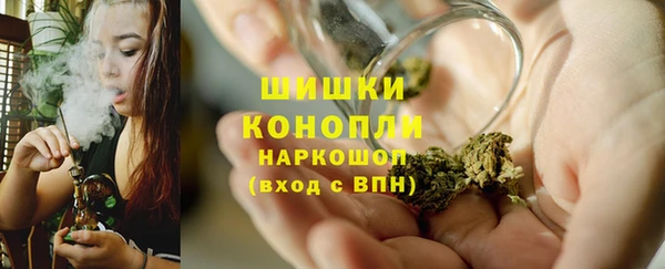 шишки Богданович