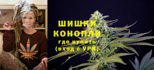 хмурый Богородицк