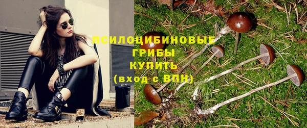 хмурый Богородицк