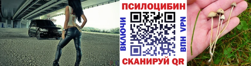 как найти закладки  Северодвинск  Галлюциногенные грибы Magic Shrooms 